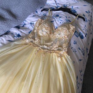 Camille La Vie 3D Flower Embroidered Corset Ballgown